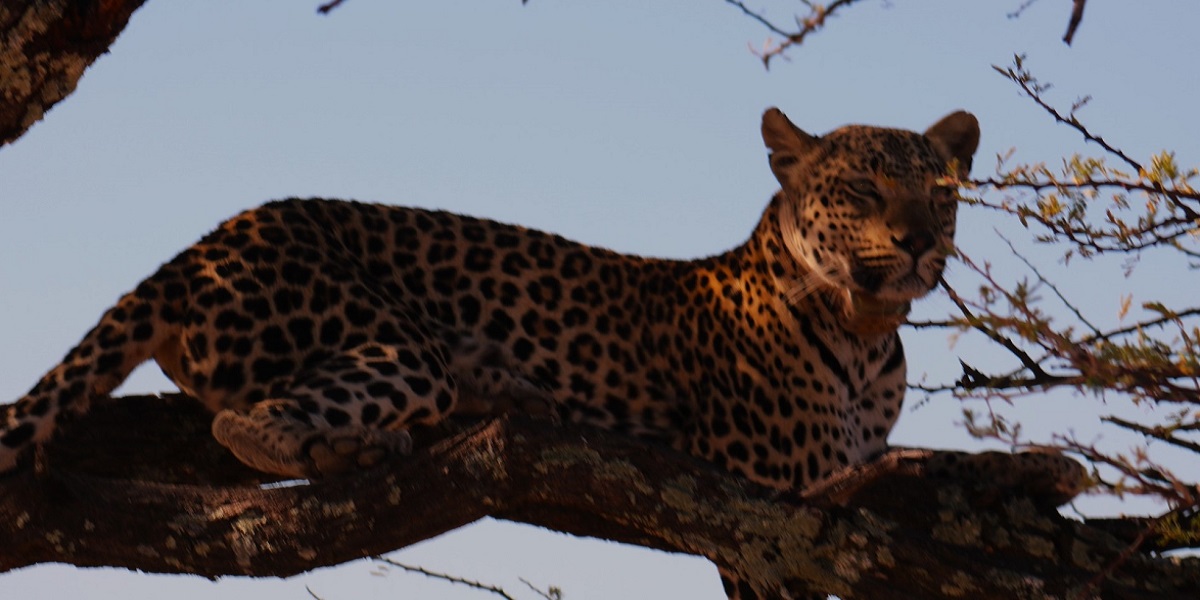 20230730164919_IMG_5645-1-Kopie-2