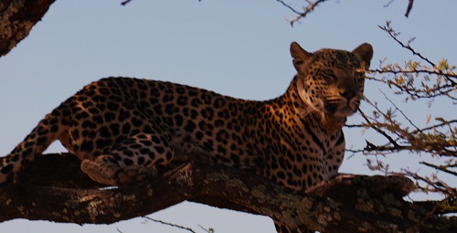 20230730164919_IMG_5645 (1) - Kopie